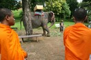 Η Καμπότζη βάζει οριστικό τέλος στις βόλτες με ελέφαντες στην Άνγκορ