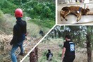 Το απόγευμα που η σκυλίτσα Μπουμπού σώθηκε από βέβαιο θάνατο