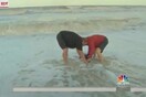 Φλόριντα: Ρεπόρτερ σώζει ένα μικρό δελφίνι που ξεβράστηκε εξαιτίας του τυφώνα Ίρμα - Βίντεο