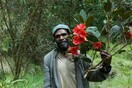 Η Νέα Γουινέα έχει τη μεγαλύτερη ποικιλία φυτών από οποιοδήποτε νησί στον κόσμο -Νέα μελέτη