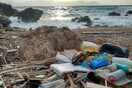 Nεκρά δελφίνια στις ελληνικές παραλίες γεμάτα πλαστικό στο στομάχι τους
