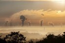 Άσχημα νέα για το όζον: Το χλωροφόρμιο είναι η νέα απειλή για την τρύπα