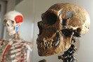 Νέα στοιχεία για ταφικά έθιμα των Νεάντερνταλ - Τι αποκαλύπτει ο σκελετός ενός παιδιού