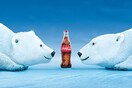 Polar Bears 