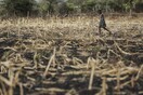 Παγκόσμιο Οικονομικό Φόρουμ: Σε κίνδυνο τα διατροφικά συστήματα - Φόβοι για «μαζικούς λιμούς»