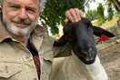 Ο Σαμ Νιλ έδωσε ονόματα διασήμων στις αγελάδες του: «Δεν μπορείς να φας την Έλενα Μπόναμ Κάρτερ»