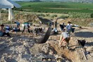 Σπουδαία ανακάλυψη στον Ορχομενό: Βρέθηκε ένας από τους μεγαλύτερους μυκηναϊκούς λαξευτούς τάφους