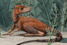 Έρευνα ανατρέπει όσα γνωρίζαμε για τους δεινόσαυρους - Οι «πρόγονοί» τους ήταν μικροσκοπικοί