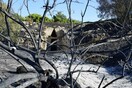Τσίπρας για την πυρκαγιά στις Μυκήνες: «Λίγη ντροπή δεν θα έβλαπτε»