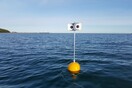 Επιστήμονες έφτιαξαν πλωτό σκιάχτρο, για να μην πιάνονται τα θαλασσοπούλια σε δίχτυα