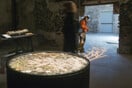 To αρχιτεκτονικό γραφείο doxiadids+ παρουσιάζει τον πρώτο στον κόσμο κήπο από μύκητες στην Μπιενάλε Βενετίας
