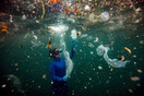 Τα πακέτα takeaway φαγητών είναι τα πιο διαδεδομένα πλαστικά σκουπίδια στους ωκεανούς