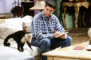 Friends Monkey Trainer Calls David Schwimmer 'Despicable' for Complaining About Marcel