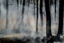 Έρευνα: Η ρύπανση του αέρα από τις δασικές πυρκαγιές συνδέεται με 33.500 θανάτους ετησίως 
