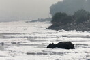 Toxic foam coats sacred river in India as Hindu devotees bathe in its waters