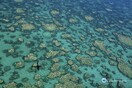 Αυστραλία: Υπόσχεση 700 εκατ. $, για την προστασία του μεγάλου κοραλλιογενούς υφάλου