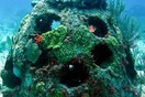 Ένας τάφος στον ύφαλο: H νέα τάση για «να γίνεις κοράλι» όταν πεθάνεις