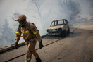 Πρόεδρος ΚΕΔΕ για τις πυρκαγιές: Πρώτα φταίει ο δήμος και το κράτος – Δεν είναι άμοιροι ευθυνών όμως και οι πολίτες