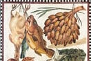 Αρχαία Ρώμη: Χοιρινό για τους πλούσιους, κοτόπουλο για τους φτωχούς και βρόμη για τις γυναίκες