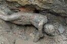 Εξαιρετική ανακάλυψη αρχαίων χάλκινων αγαλμάτων στην Τοσκάνη- Ηλικίας άνω των 2.000 ετών και σχεδόν τέλεια διατηρημένα