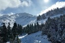 Παρνασσός: Έπεσαν τα πρώτα χιόνια στη «Μέκκα» των Ελλήνων σκιέρ - Εντυπωσιακά πλάνα από ψηλά
