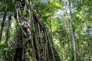 Βραζιλία: Η αποψίλωση του τροπικού δάσους του Αμαζονίου μειώνεται κατά 31% τους πρώτους πέντε μήνες του Λούλα στην προεδρία	