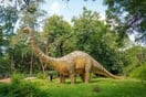 Ανακαλύφθηκε νέο είδος δεινόσαυρου στη Γιούτα – Φως σε πληροφορίες για τις περιβαλλοντικές αλλαγές πριν από 100 εκατ. χρόνια