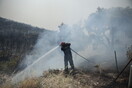 Φωτιά τώρα στη Λακωνία - Σηκώθηκαν αεροσκάφη