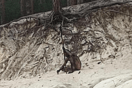 «Λυκάνθρωπος» ερημίτης εντοπίστηκε σε γερμανικά βουνά- Γυμνός και με δόρυ στο χέρι