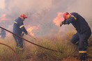 Φωτιές: Αναζωπυρώσεις σε Έβρο και Ροδόπη- Συνολικά 74 πυρκαγιές σε μια μέρα
