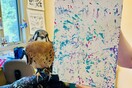 Δεν μπορεί να πετάξει πια, είναι όμως καλλιτέχνης: το γεράκι του Βερμόντ