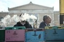 Με καπνιστήρια, κυψέλες και ειδικές στολές οι μελισσοκόμοι στο Σύνταγμα