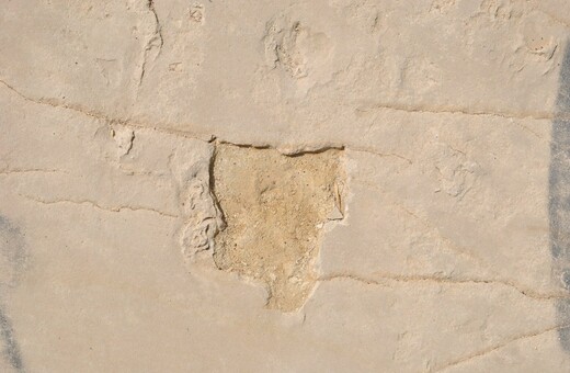 Βρέθηκαν τα προϊστορικά αποτυπώματα βάδισης που είχαν κλαπεί από την Κρήτη - Δράστης ένας καθηγητής
