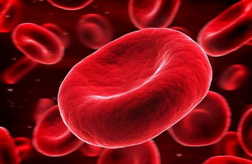 Έλληνας ερευνητής δημιούργησε το πρώτο σύστημα τεχνητής νοημοσύνης που ταυτοποιεί τα ερυθρά αιμοσφαίρια στο αίμα
