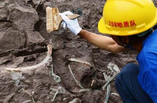 Kίνα: Ανακαλύφθηκαν απολιθωμένα αποτυπώματα δεινοσαύρων ηλικίας 100 εκατομμυρίων ετών