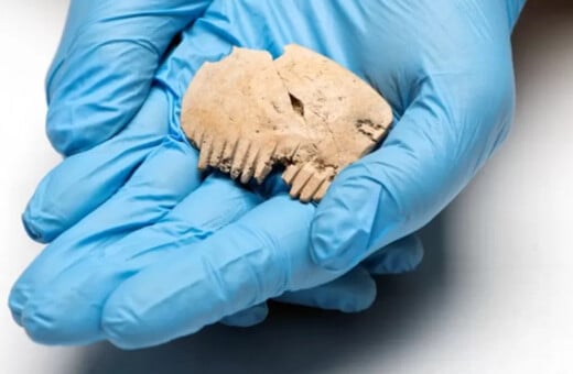 Μια αρχαία «χτένα» κατασκευασμένη από ανθρώπινο κρανίο ανακαλύφθηκε στη Βρετανία