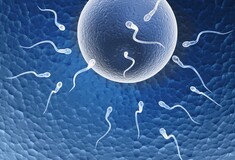 Ιατρικά πειράματα δείχνουν πως τα αντισταμινικά επηρεάζουν την ανδρική γονιμότητα