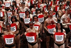 "Λουτρό αίματος" και οργή από τους φιλόζωους στην Παμπλόνα