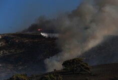 Αναζωπυρώθηκε η φωτιά στα Κύθηρα λόγω των δυνατών ανέμων - Εκκενώθηκαν προληπτικά οικισμοί