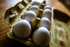 Η Κομισιόν προετοιμάζει σύσκεψη για το σκάνδαλο με τα μολυσμένα αυγά