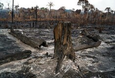 Γιατί οι πυρκαγιές στον Αμαζόνιο είναι τόσο καταστροφικές για ολόκληρη τη γη