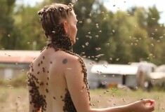 Χορεύει με 12.000 μέλισσες στο σώμα της