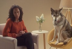 «Ο σκύλος είναι για μια ζωή, όχι μόνο για τα Χριστούγεννα»- Tα βίντεο που συγκινούν