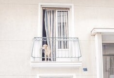 Σκύλος για το μπαλκόνι – αυτή η ντροπή