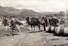 Καραβάνι με καμήλες στην Άμφισσα γύρω στο 1920