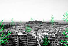Τι σημαίνει το υπερβολικό κλάδεμα των δέντρων στην Αθήνα και τι επιπτώσεις θα έχει στο μικροκλίμα της;  