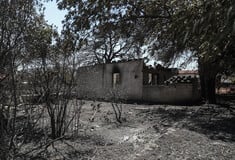 Φωτιά στην Πεντέλη: Η επόμενη ημέρα -Μαύρο τοπίο, οι φλόγες «κατάπια» γη και περιουσίες