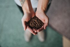Η κλιματική κρίση επηρεάζει την παραγωγή καφέ - «Κίνδυνος οι καλλιέργειες να μειωθούν στο μισό»