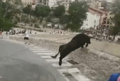 Ισπανία: Αγχωμένος ταύρος λόγω του πλήθους πηδάει πάνω από τοίχο και πέφτει στο κενό