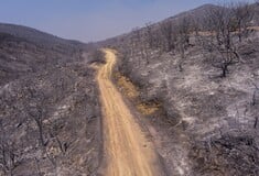 Φωτιά στον Έβρο: 935.000 στρέμματα καμένης έκτασης- Νέα δορυφορική εικόνα